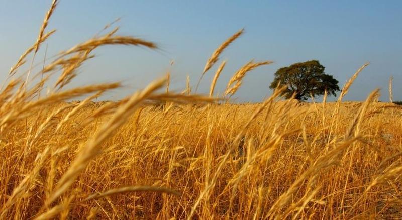 Herdade Do Gizo Куба Экстерьер фото